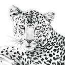 Adrià Bernabeu Cañabate