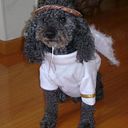 Famimascotas Pet Shop