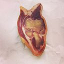 Penélope Coronado Ruiz