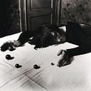 Verónica De la sierra