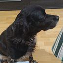 Mari Cruz Horrillo Benítez