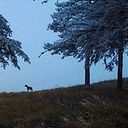 Jose Agüera Muñagorri