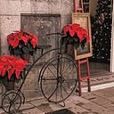 Antonia Siquier Capó