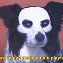 Nicolay Villamarin Orduña