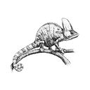 Víctor Fuentes Martí