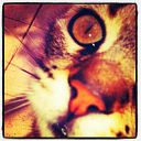 ELOISA CABALLERO ROMERO