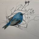 Paula Tejedor López