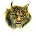 Alberto Manuel Fuster Lopez