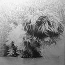 Elena Miret Establés