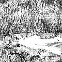 Helio Lozano Carreras