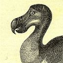 Ilustración y Diseño