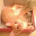 Irene Poza Ballesteros