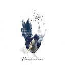 Flaminio Mateus
