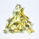 Ana Teruel Martínez