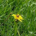 hectorluisacunacuero