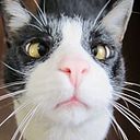 María Mercedes Toloza Rojas