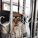 jonathansilvacamargo