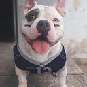 Rodrigo de la Portilla