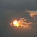 Germán Bautista García