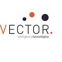 Vector ITC Group