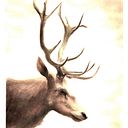 Federico Hool Gonzalez