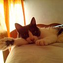 zoee_olier