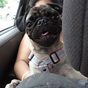 Mariana Sánchez Gutiérrez