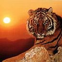 Javier Francisco Mora Arismendi