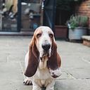 Diana Félix Pantoja