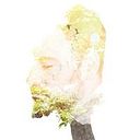 Jose Manuel Diaz Espinosa