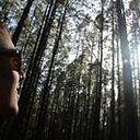 Adrian A. Diaz Bonnet