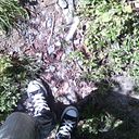 Jimena Galeano Benavides