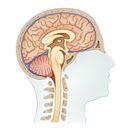 david arnau_ilustrador