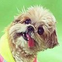 Mabel Sánchez Domene