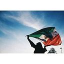 Vero Tello