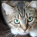 Javier Joaquín Zepeda