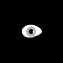 David Rojas Inostroza