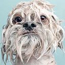 Diana Carhuamanta Ibañez