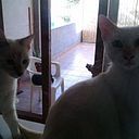 Silvia Díaz Fernández