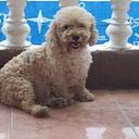 Cristian Daniel Vargas Palomares