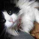 Loreto Painen Coloma