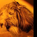 Alexia Marcela Ramirez Diaz