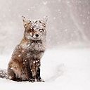 Addyccion Al Chocolathe