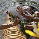 Nacho Jiménez Sánchez-Silva