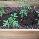 Carlos Calderon de la Barca