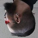 Augusto César Lorenzana Marmolejo