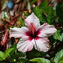 Beatriz García-Largo Grande