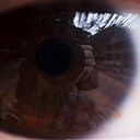 Eduardo Tapias Duque