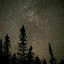 Albita Adame Galicia