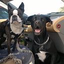 Raúl Sánchez González